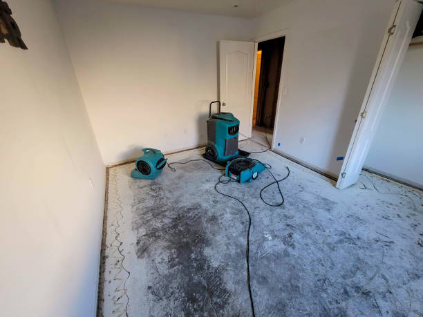 Best Water damage contractors near me  in Sheboygan Falls, WI