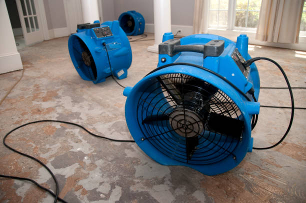 Best Water damage restoration experts  in Sheboygan Falls, WI